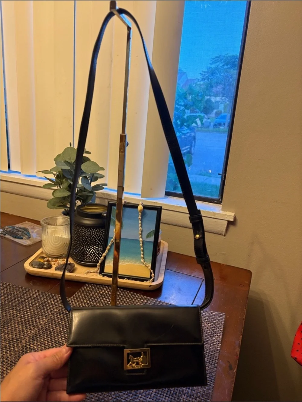 Celine Black Horse Carriage Leather Shoulder Bag with adjustable strap